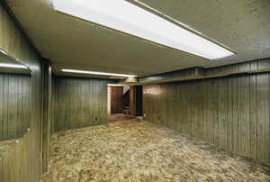Finished below grade area with carpet and wood walls