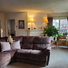 Carpeted living room featuring a textured ceiling