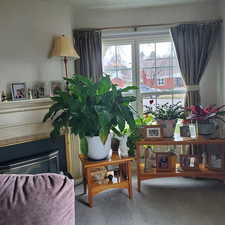 Sitting room with carpet floors and a fireplace