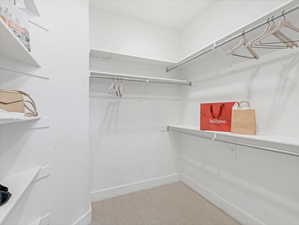 Walk in closet featuring light carpet