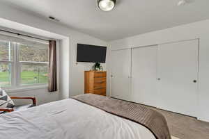 Carpeted bedroom featuring a closet