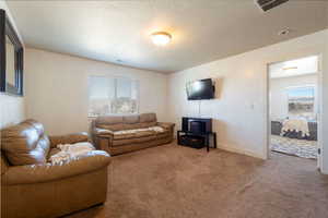Living room featuring carpet flooring and a textured ceiling