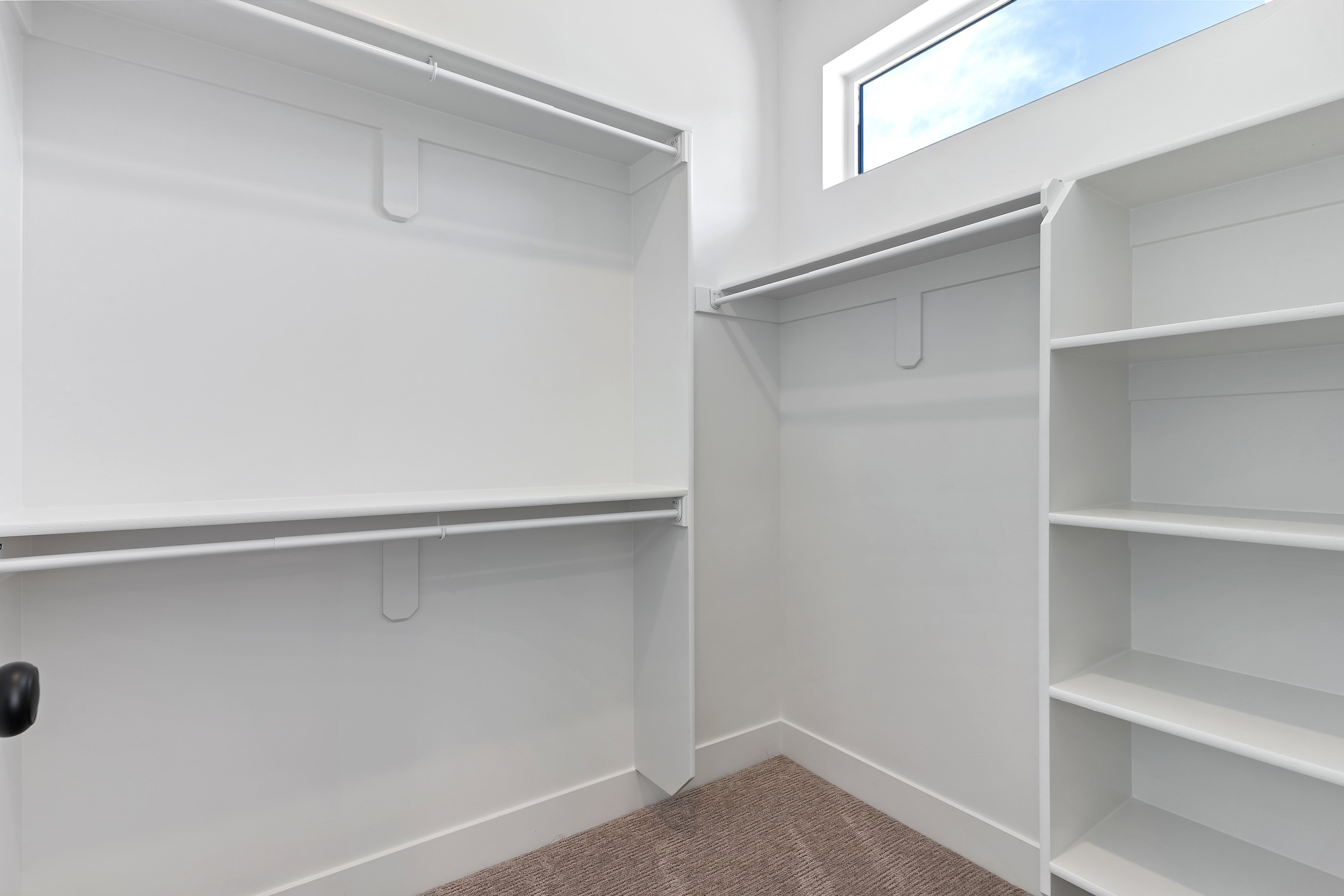 Walk in closet with carpet floors