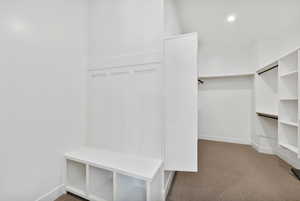 Walk in closet with dark carpet