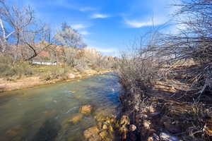 Water view featuring a tree filled landscape