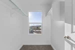 Walk in closet with dark colored carpet