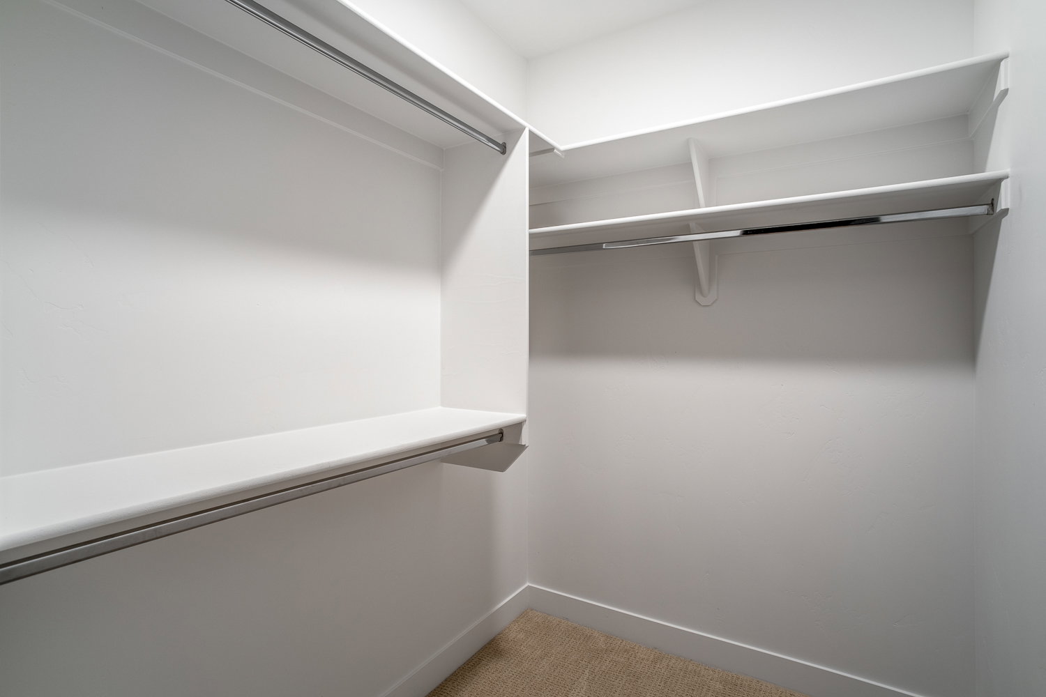 Walk in closet with light colored carpet