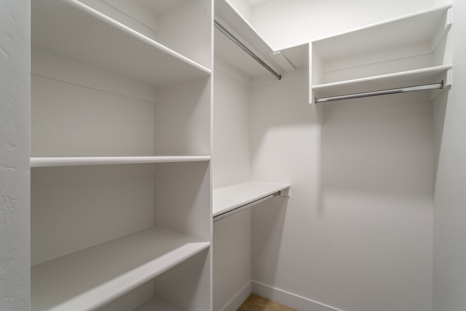 Walk in closet featuring carpet