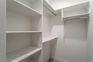 Walk in closet featuring carpet