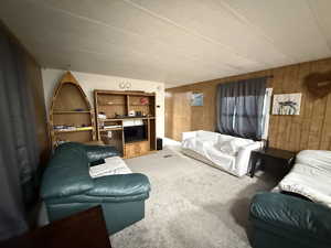 Living area with wood walls and carpet