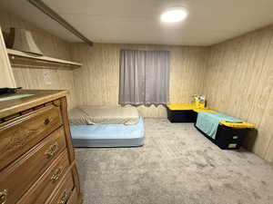 Carpeted bedroom with wood walls