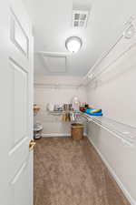 Walk in closet featuring attic access and dark colored carpet