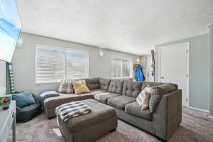 Living room featuring carpet and a textured ceiling