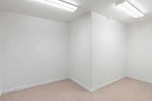 Basement storage/flex room