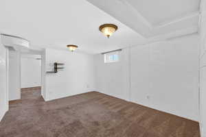 Basement with dark carpet