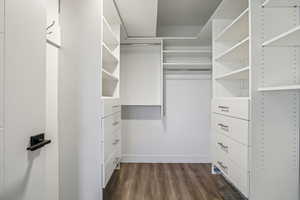 Walk in closet featuring dark wood-type flooring