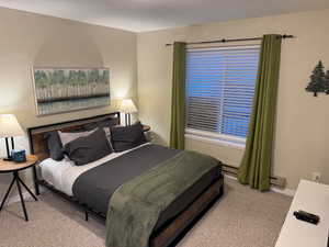 Bedroom with light carpet and a baseboard radiator