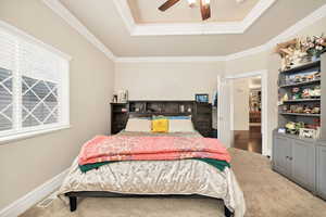 Carpeted bedroom with a tray ceiling, ceiling fan, and ornamental molding