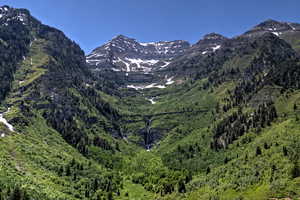 View of mountain background with a forest
