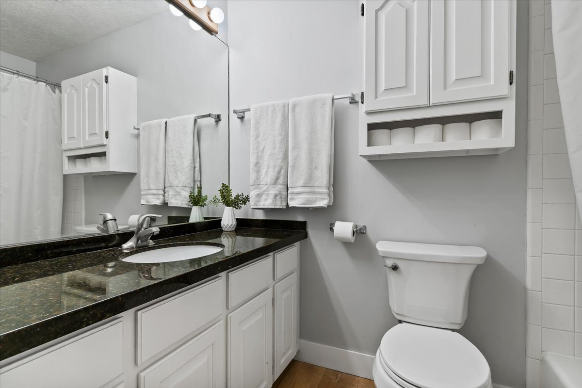 Bathroom featuring curtained shower, vanity, and wood finished floors