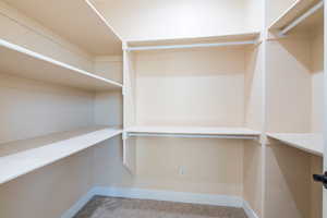 Walk in closet featuring light carpet