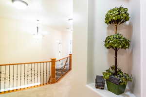 Hallway with carpet