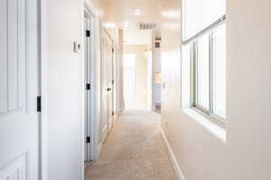 Hall with light carpet and baseboards