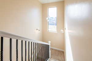 Stairs with carpet and baseboards
