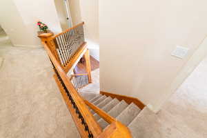 Stairs with carpet and baseboards