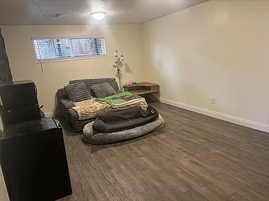Bedroom featuring dark wood-style flooring and a textured ceiling