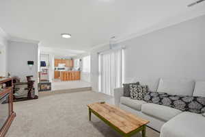Living area featuring ornamental molding and light carpet