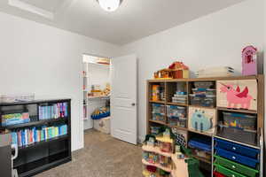 Recreation room with light colored carpet and baseboards