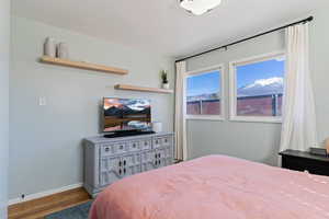 Bedroom featuring baseboards and wood finished floors