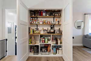 Pantry with electric panel