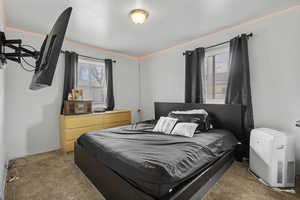 Carpeted bedroom featuring multiple windows