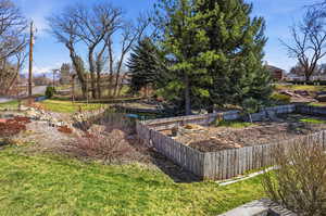 View of grassy yard with a small pond