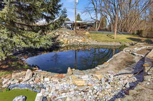 Water view featuring a small pond