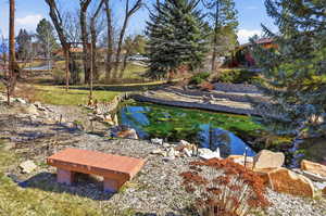 View of yard featuring a small pond