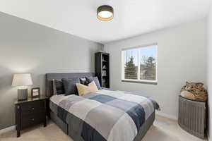 Bedroom featuring baseboards and light colored carpet