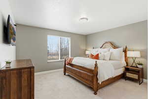 Bedroom with light colored carpet and baseboards