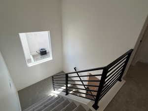 Stairs with carpet floors and baseboards