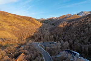 View of mountain backdrop with a forest