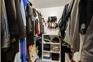 Walk in closet with light colored carpet