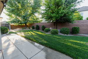 Fenced backyard with a shed