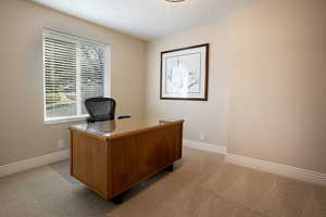 Office space featuring light colored carpet and a textured ceiling