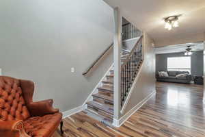Staircase featuring wood finished floors and ceiling fan