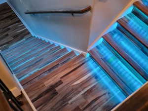 Stairway featuring wood finished floors