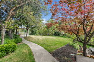 Expansive backyard featuring a concrete pathway, a white gazebo, mature trees, manicured lawn, and natural landscaping with foliage
