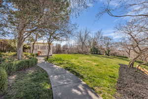 View of green lawn