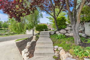 Concrete pathway with integrated steps, framed by mature trees and a rock-lined terraced landscape